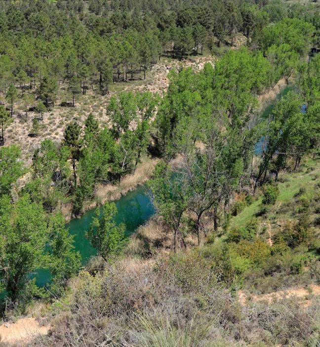 Casa Rural Guadiela San Pedro Palmiches Zewnętrze zdjęcie